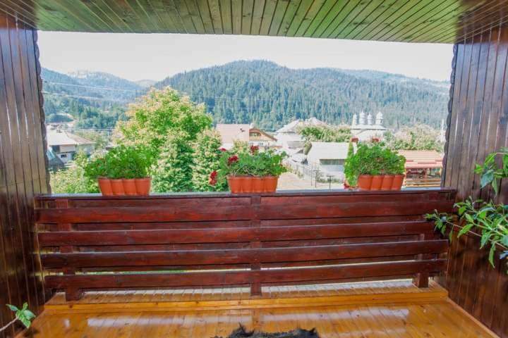 Hotel Casa Prundari Nicu Si Mirela Poiana Teiului Exterior foto