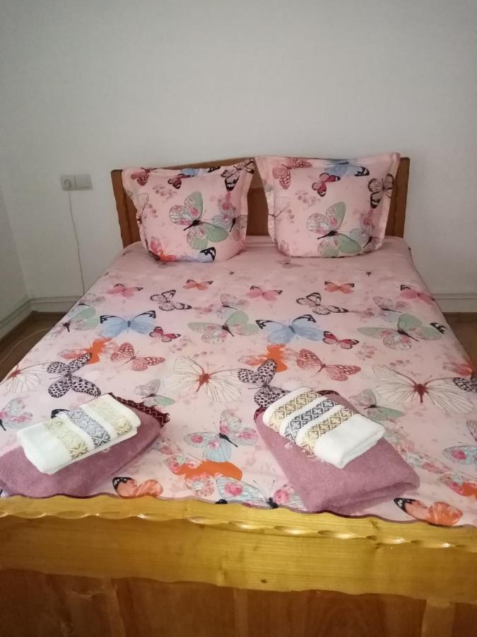 Hotel Casa Prundari Nicu Si Mirela Poiana Teiului Exterior foto