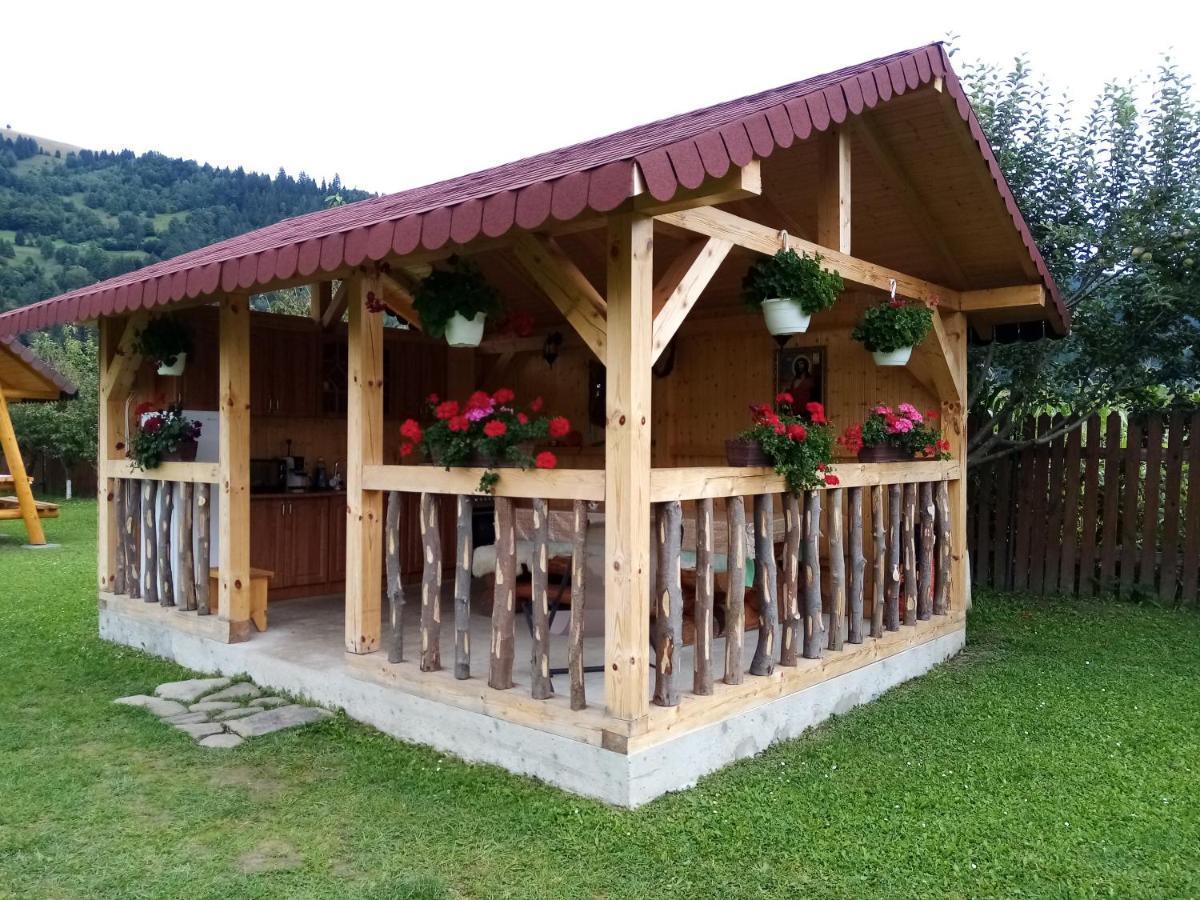 Hotel Casa Prundari Nicu Si Mirela Poiana Teiului Exterior foto