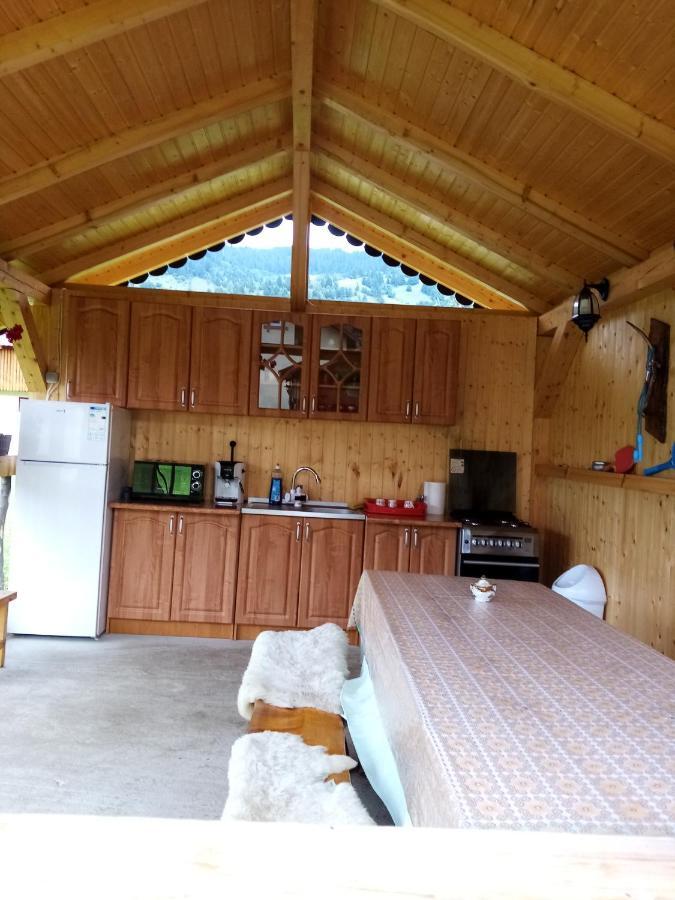 Hotel Casa Prundari Nicu Si Mirela Poiana Teiului Exterior foto
