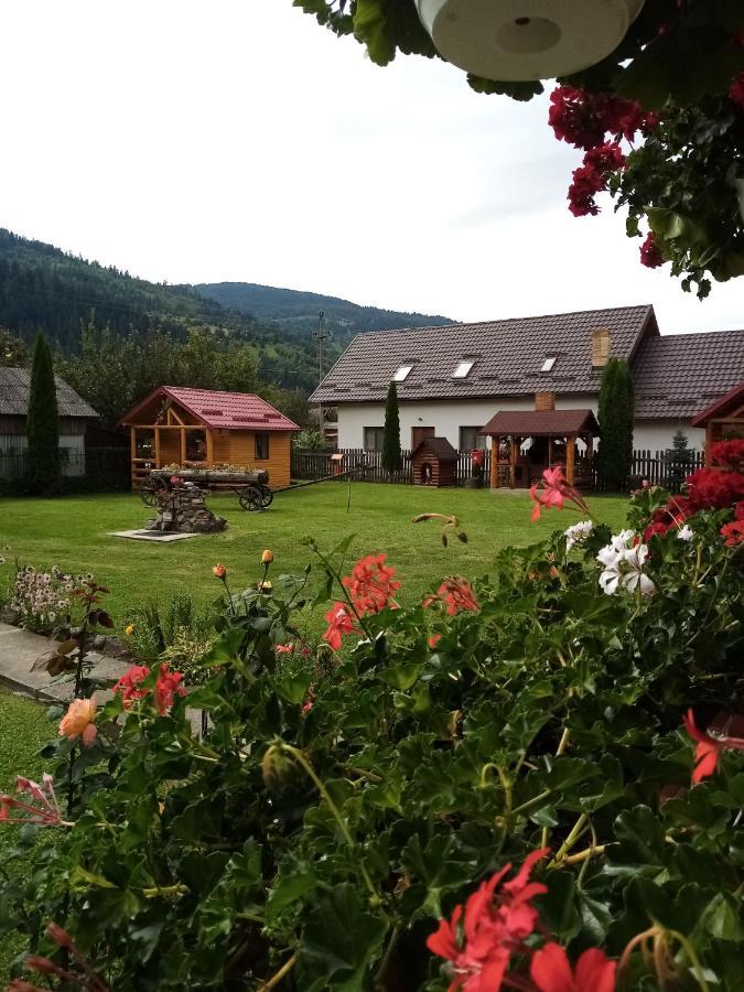 Hotel Casa Prundari Nicu Si Mirela Poiana Teiului Exterior foto