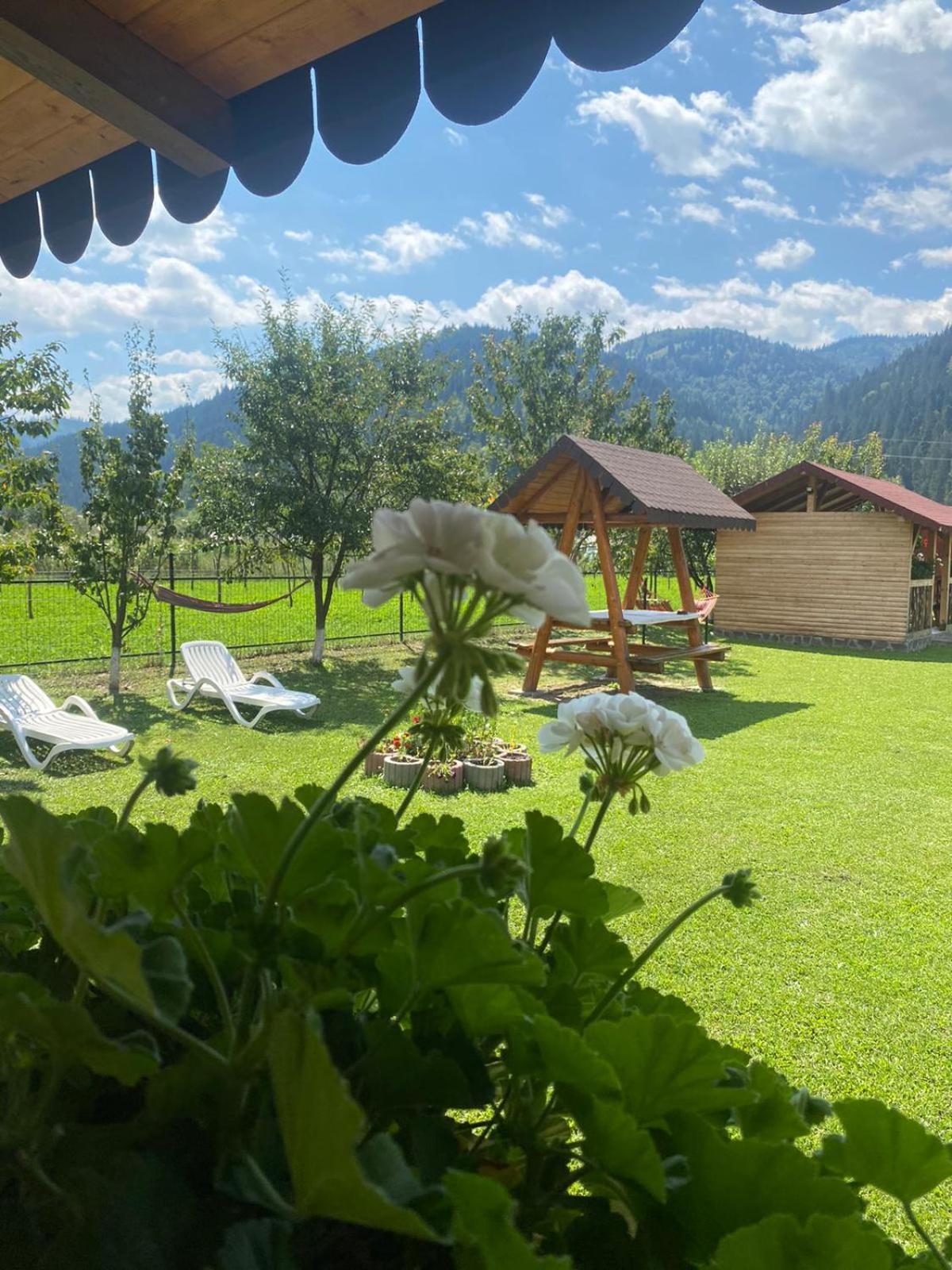 Hotel Casa Prundari Nicu Si Mirela Poiana Teiului Exterior foto